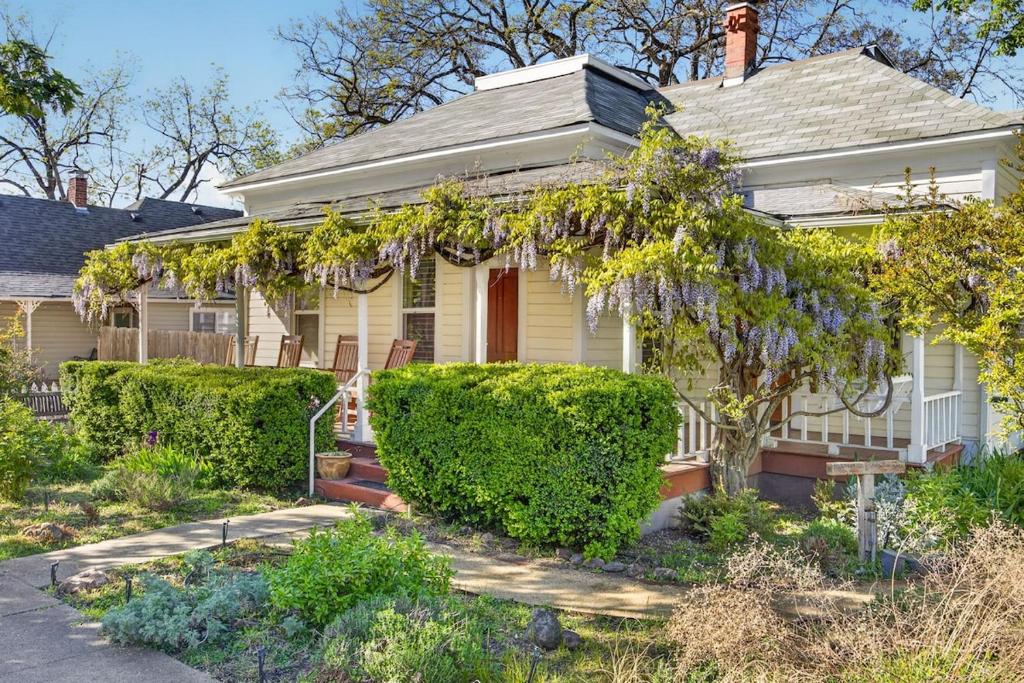 a white house with bushes in front of it at Whimsy on B- 2BR & Studio Near OSF in Ashland