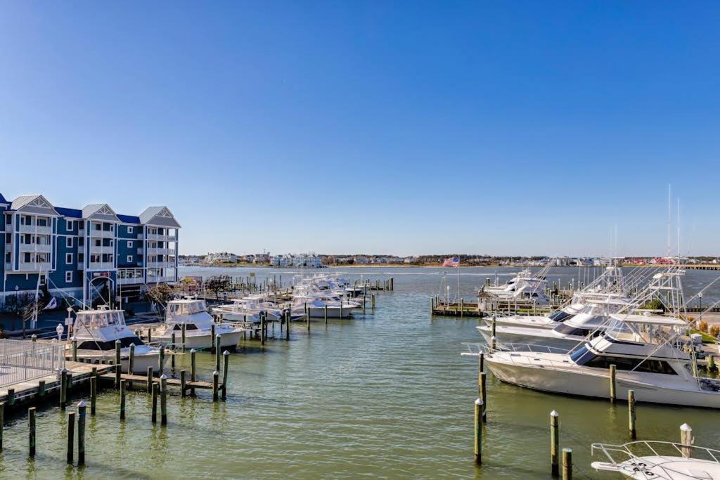 a group of boats docked at a marina at White Marlin 209B in Ocean City