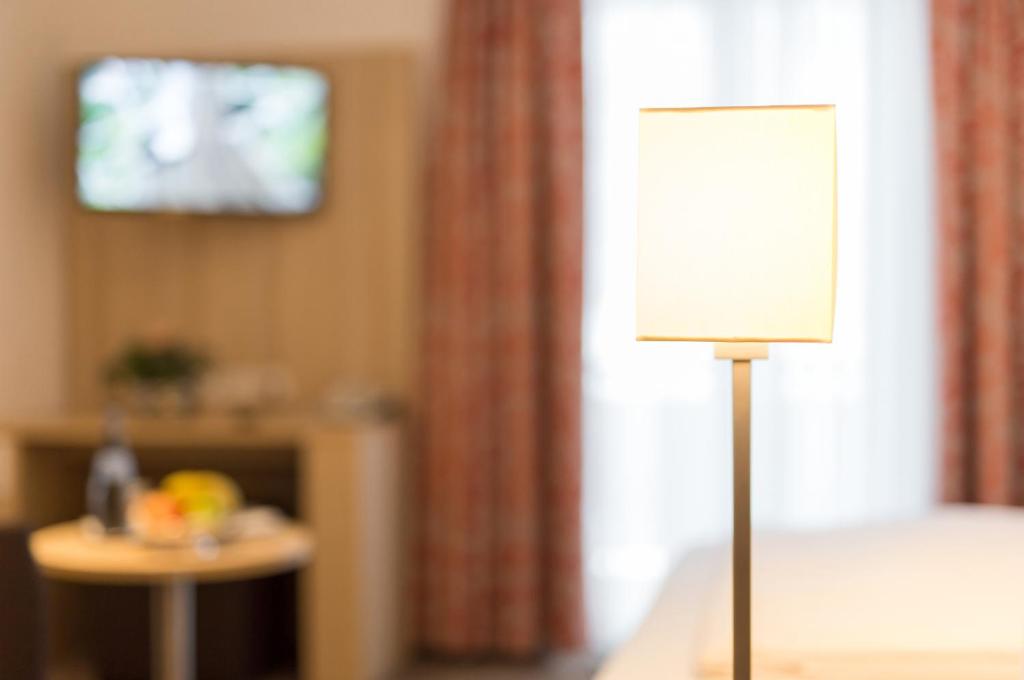 TV a/nebo společenská místnost v ubytování Hotel Pfälzer Wald