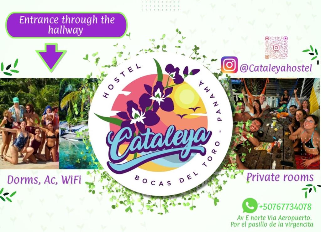 a collage of photos of a party at a resort at Cataleya BDT in Bocas Town
