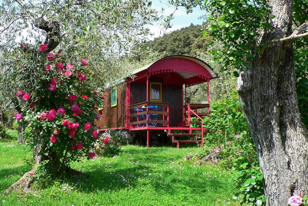 a red cabin in the middle of a yard with roses at Azienda agricola Della Mezzaluna in Stiava