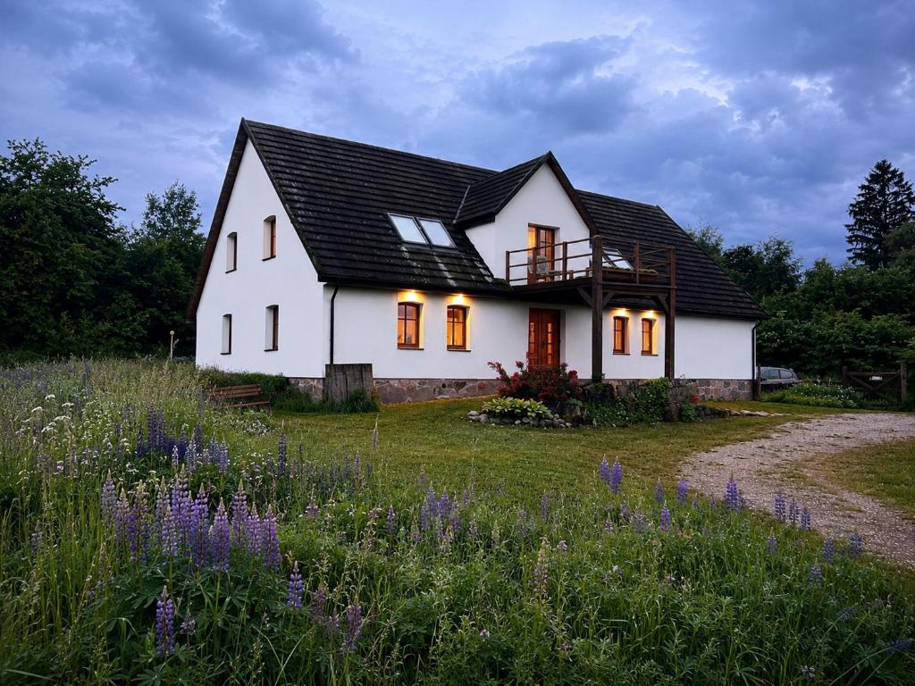 a white house with a black roof in a field at Prosinko 25 in Prosinko
