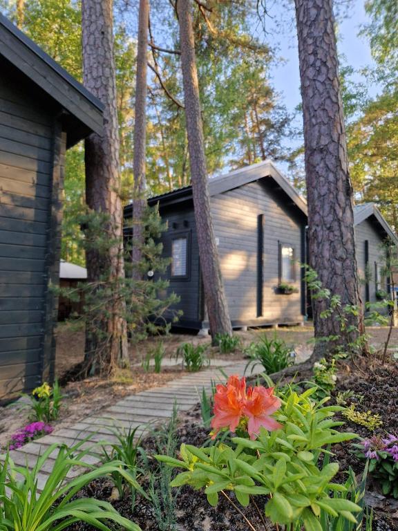 a house in the woods with a pathway and flowers at Vanagu priedes in Kalngale