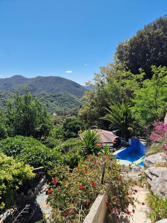 a view of a garden with mountains in the background at A casa di catharina appartement in Zicavo