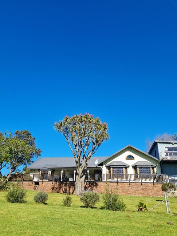 a house with a tree in front of it at The Blue Swallow in Kaapsehoop