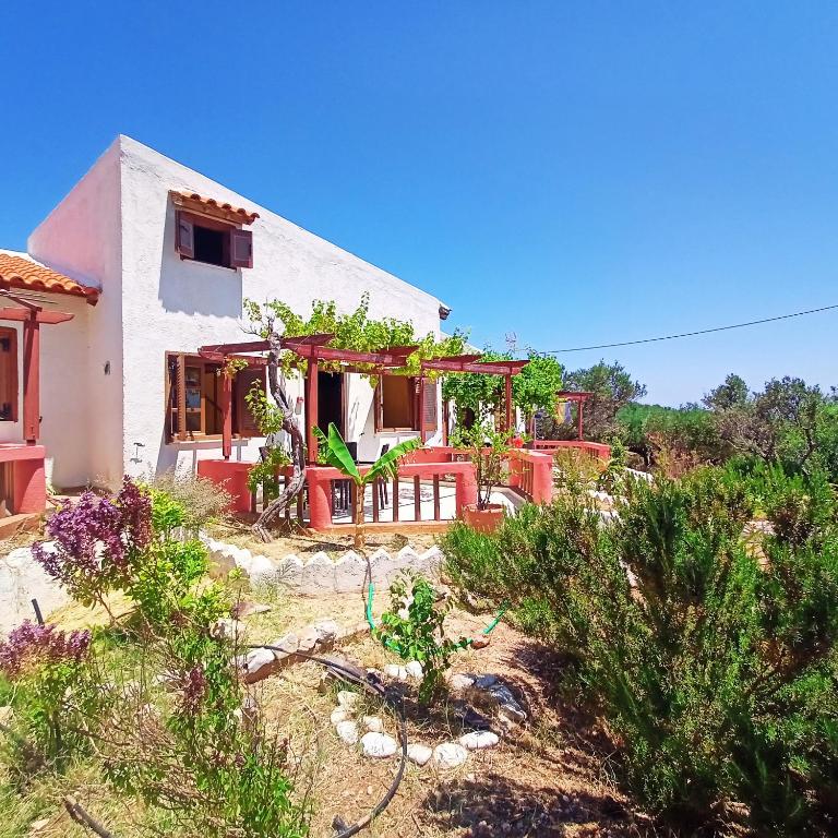 Sunrise Apartments - 