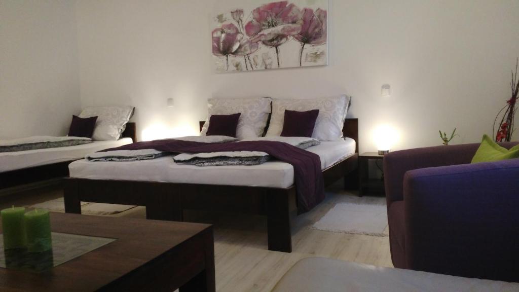 Apartmány Cechovní - 4