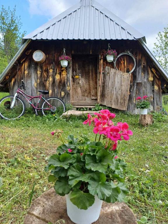 a house with a bunch of flowers in front of it at Djedova koliba in Žabljak