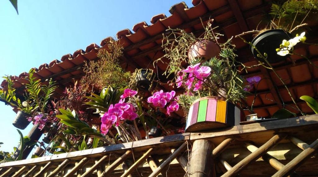 a colorful container of flowers on a wooden fence at Chalé da Elba 01 Ilhabela in Ilhabela