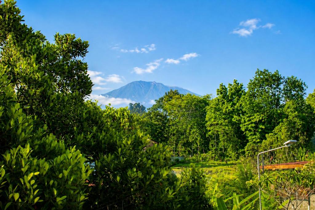 a mountain in the distance with trees in the foreground at Adyara Homestay in Sidemen