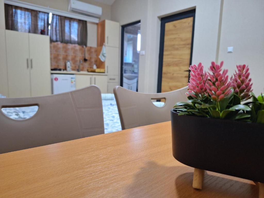 a potted plant sitting on a table in a room at Goka apartments in Gevgelija