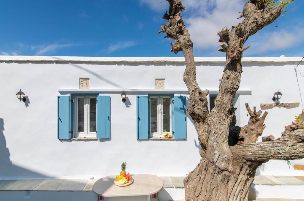 a house with blue shutters and a tree at Xenia Xinara in Tinos