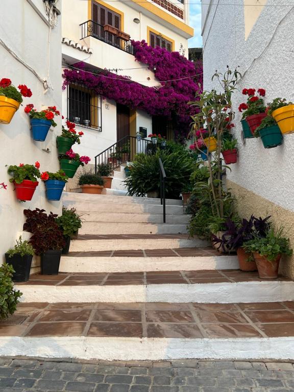 a group of potted plants on the side of a building at Casa Quijote in La Herradura