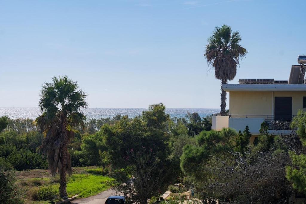 a house on a hill with palm trees at PJ Properties Sunset Residence Sounio in Sounio