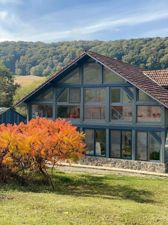 a house with large windows and a tree at Cross Country Farm in Prod