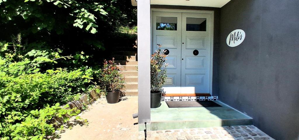 a front door of a house with two potted plants at Mili's B&B Guest House in Gabrovo