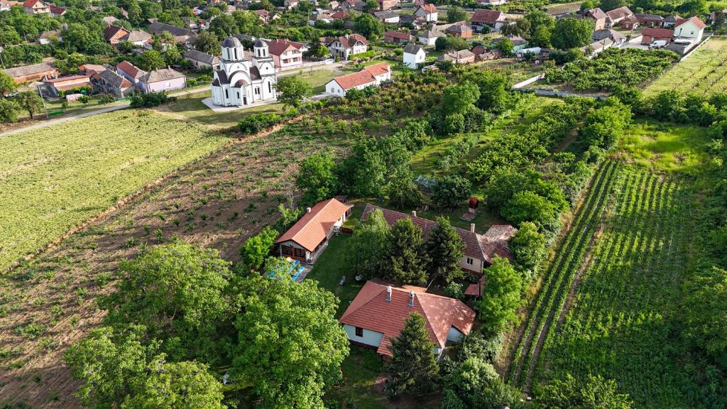 an aerial view of a house and a vineyard at Tri breze Vodanj in Vodanj