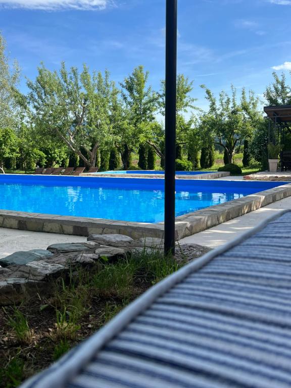 a swimming pool with blue water in a yard at Plava Zora in Kolašin