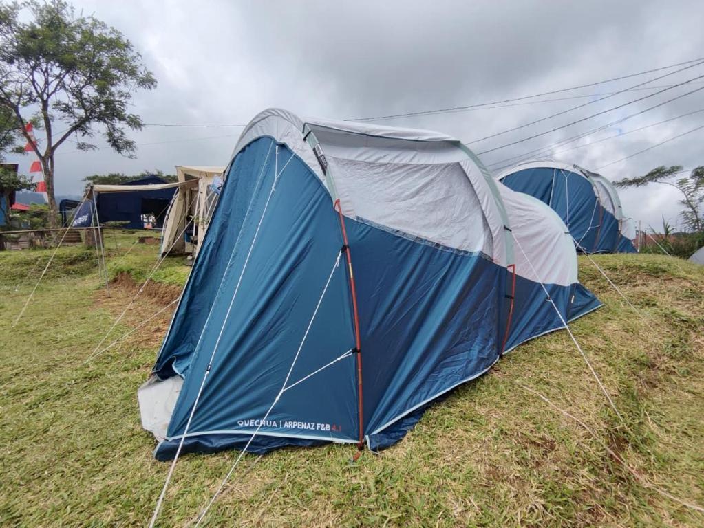 a blue tent sitting on top of a field at Thursina Camping Ground in Paragajen