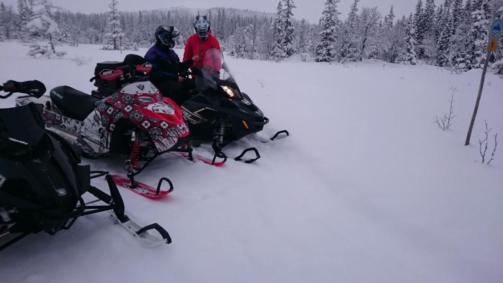 Ottsjö-Åre Lodge v zimě