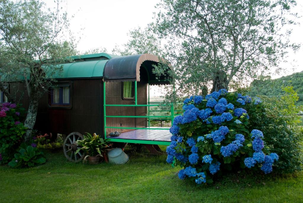 a house with a table and blue flowers in a yard at Azienda agricola Della Mezzaluna in Stiava