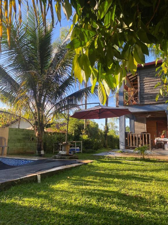 a house with a palm tree in the yard at Villa Esperanza in San Cristóbal