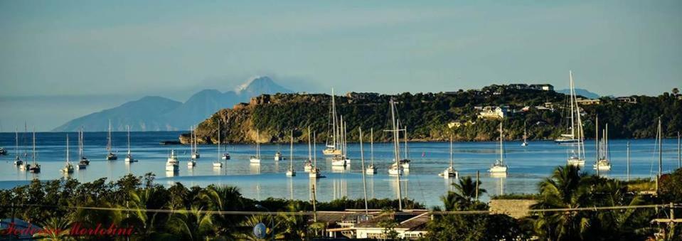 a bunch of boats are docked in a harbor at Donkey on the Beach in Cobbs Cross