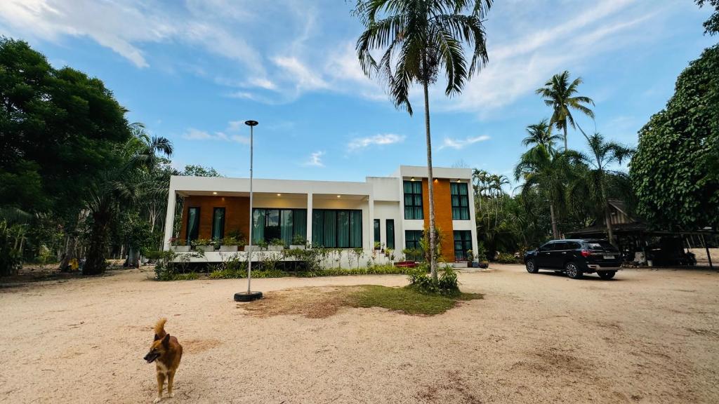 a dog standing in front of a house at Serenity Banna in Ban Huai Yai