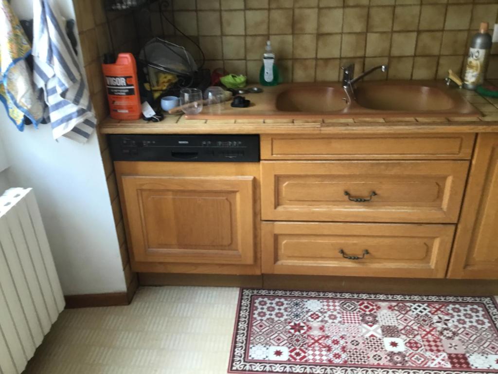 a kitchen with a sink and a dishwasher at Maison des barrys in Ispagnac