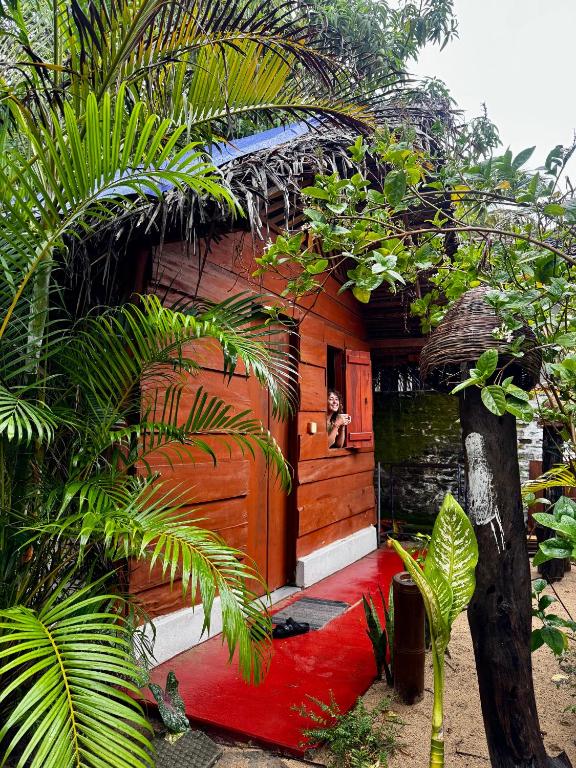 a house with a red carpet in front of it at once more hostel in Pottuvil