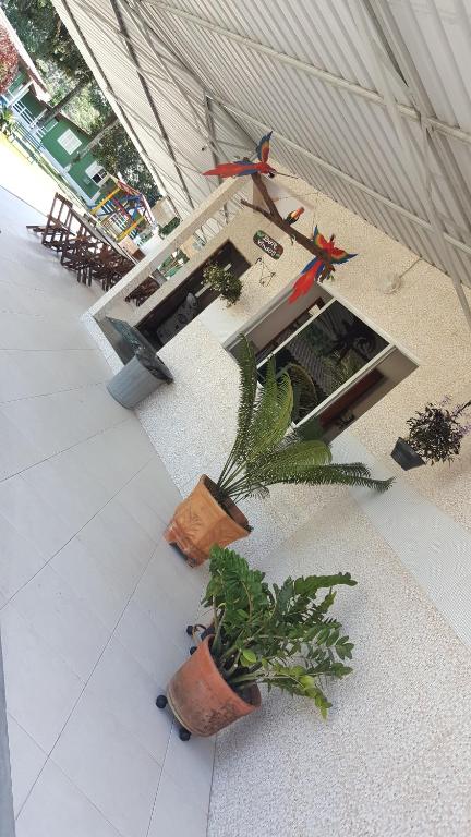  Chales Mata Atlantica De Ubatuba