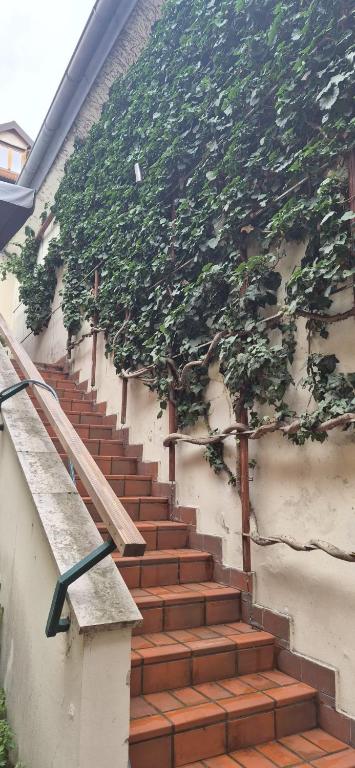 a staircase with plants on the side of a building at See Love 2 in Zagreb