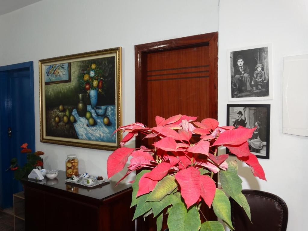  Estalagem 11 Suites