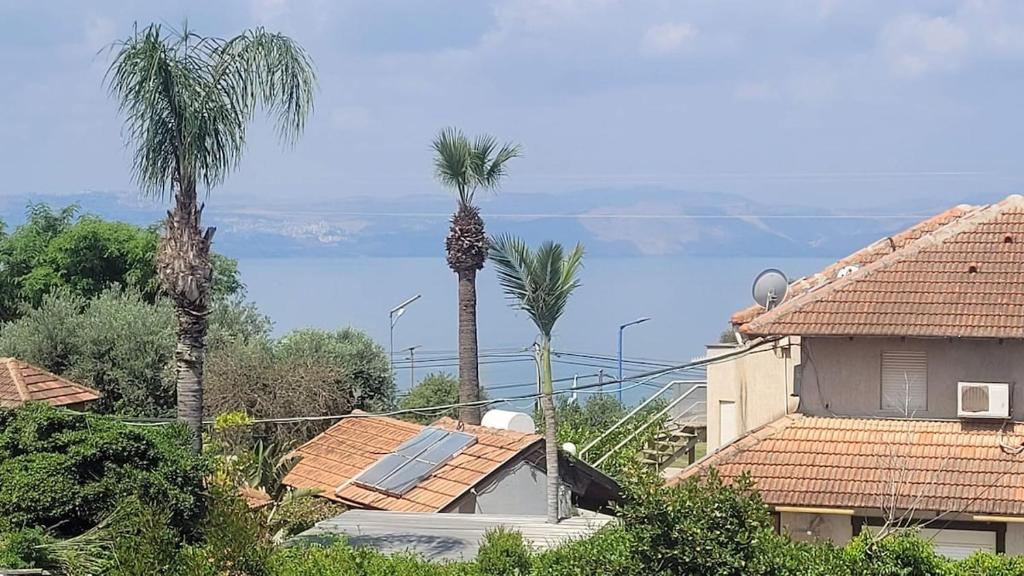 a house with palm trees and a view of the water at Shaked בית שקד in Moshav Ramot