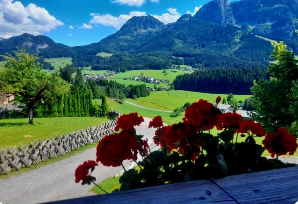 a view of a valley with red flowers and mountains at Sonnleit'n Zimmer 5 in Abtenau