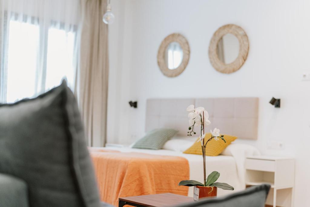 BOO apartments