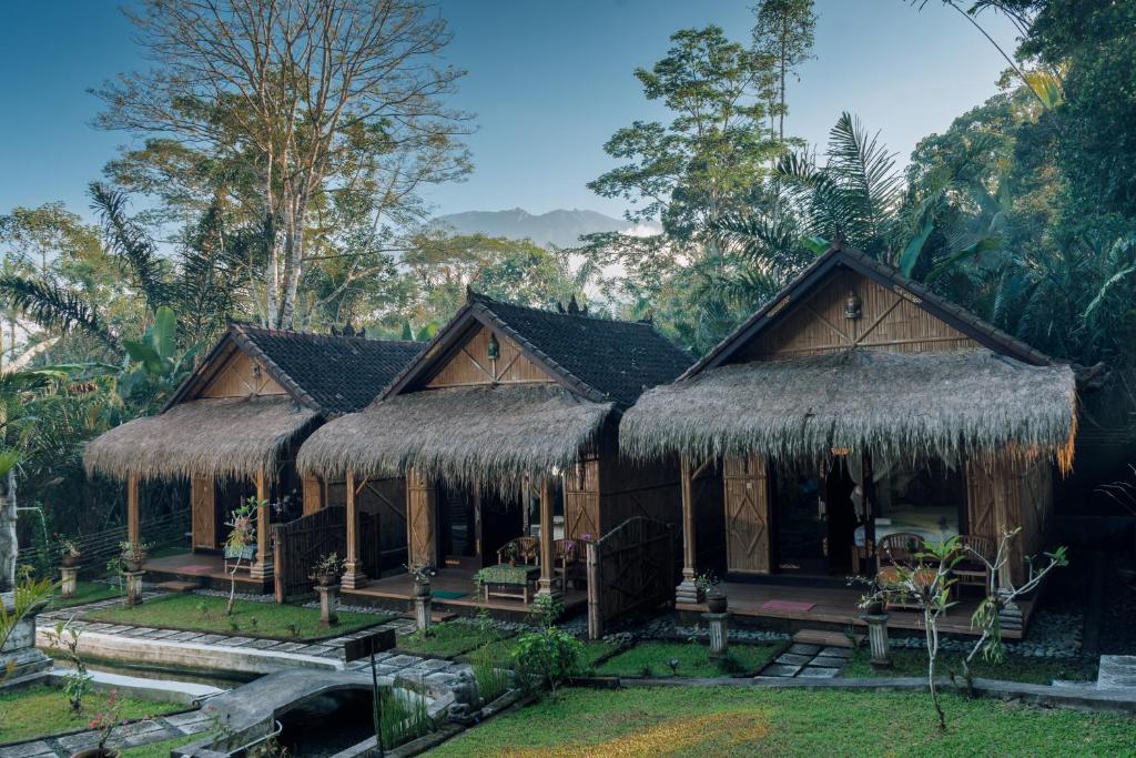 a house in the jungle with a thatched roof at Pondok Sapta Sallaca in Selat