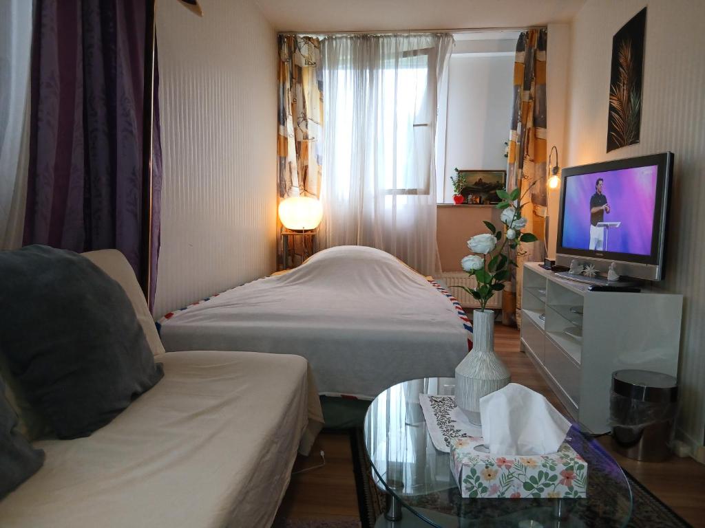 a room with a bed and a couch and a tv at Graeff luxury Apartment in Cologne