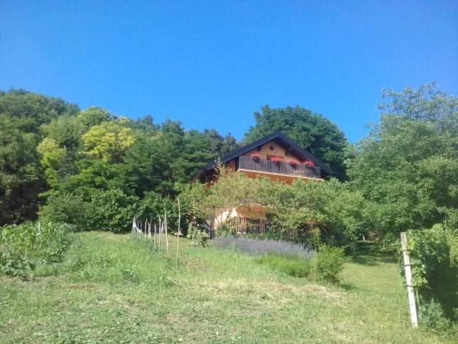 a house on the side of a hill with trees at Apartman Potocki in Krapina