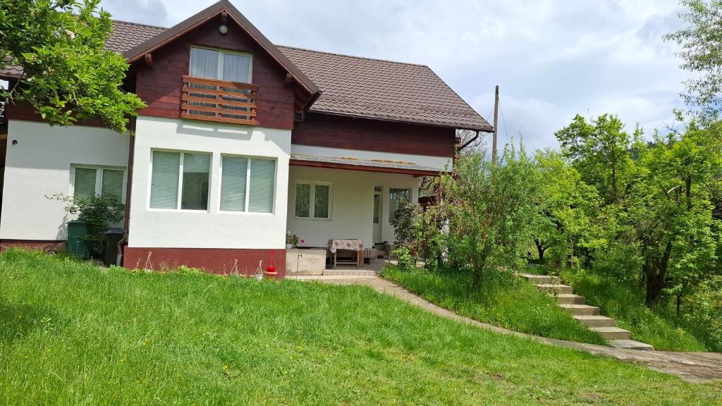 a house on a hill with a green yard at Casa Berbece in Moieciu de Jos