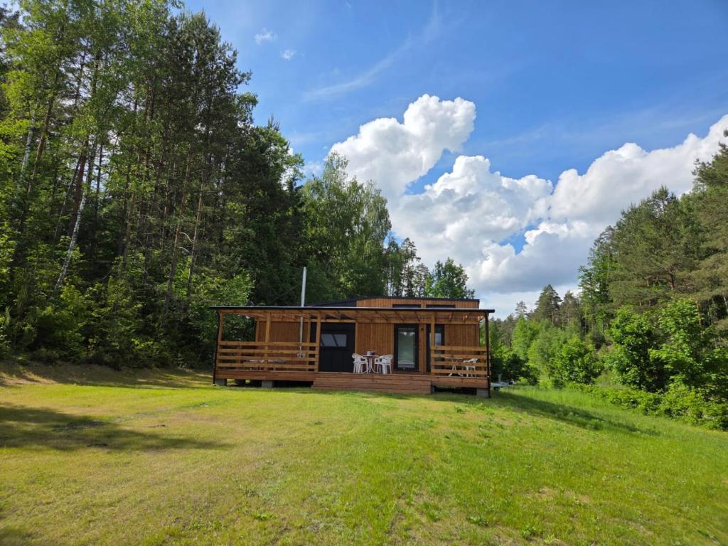 a cabin in the middle of a field with trees at Tiny House Scarlet in Dziemiany