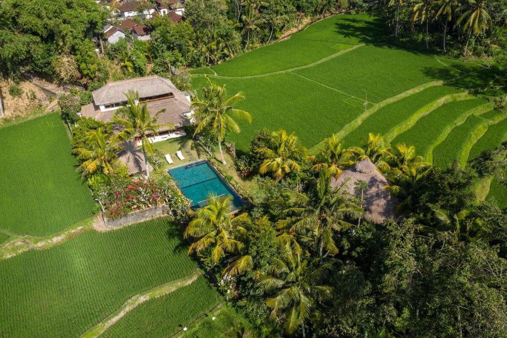an aerial view of a resort with palm trees and a pool at Villa Arcadia in Gianyar