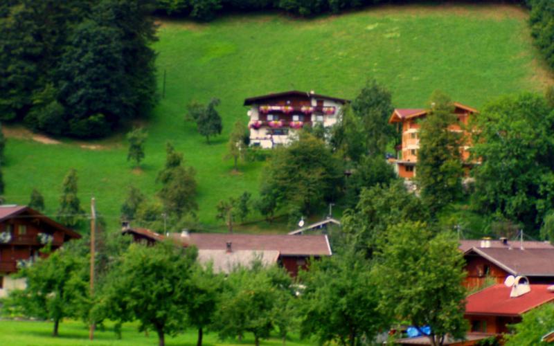 Příroda nedaleko apartmánu