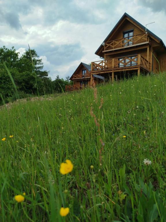 a wooden cabin in the middle of a field of grass at Gruszchatka 1 in Gruszów
