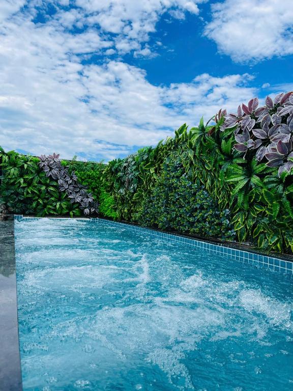 a swimming pool in front of a bunch of plants at Eliana Robusta Hotel in Hanoi