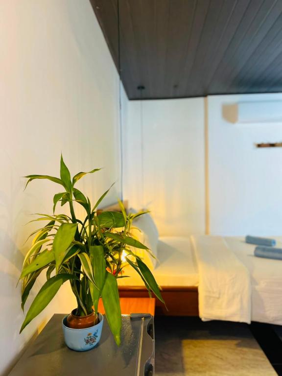 Cinnamon Homestay ella - Chambre Double De Luxe