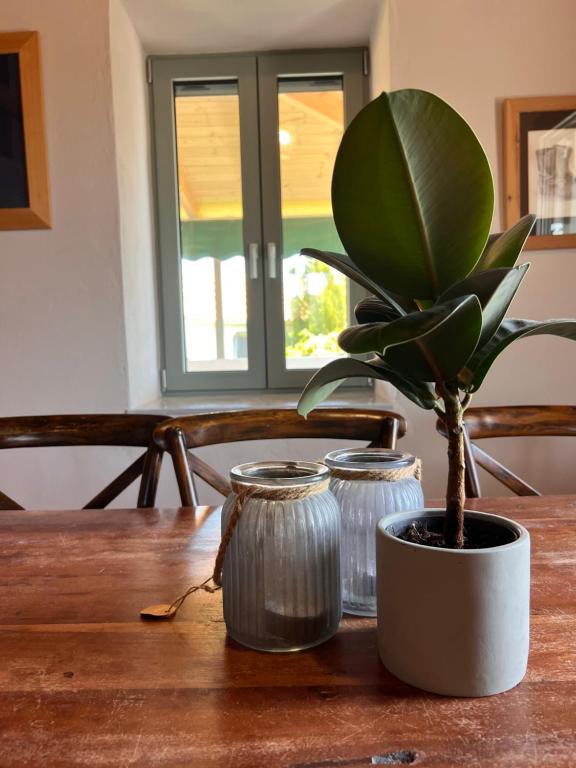 a plant in a pot on a wooden table at Mia's Atelier in Kamária