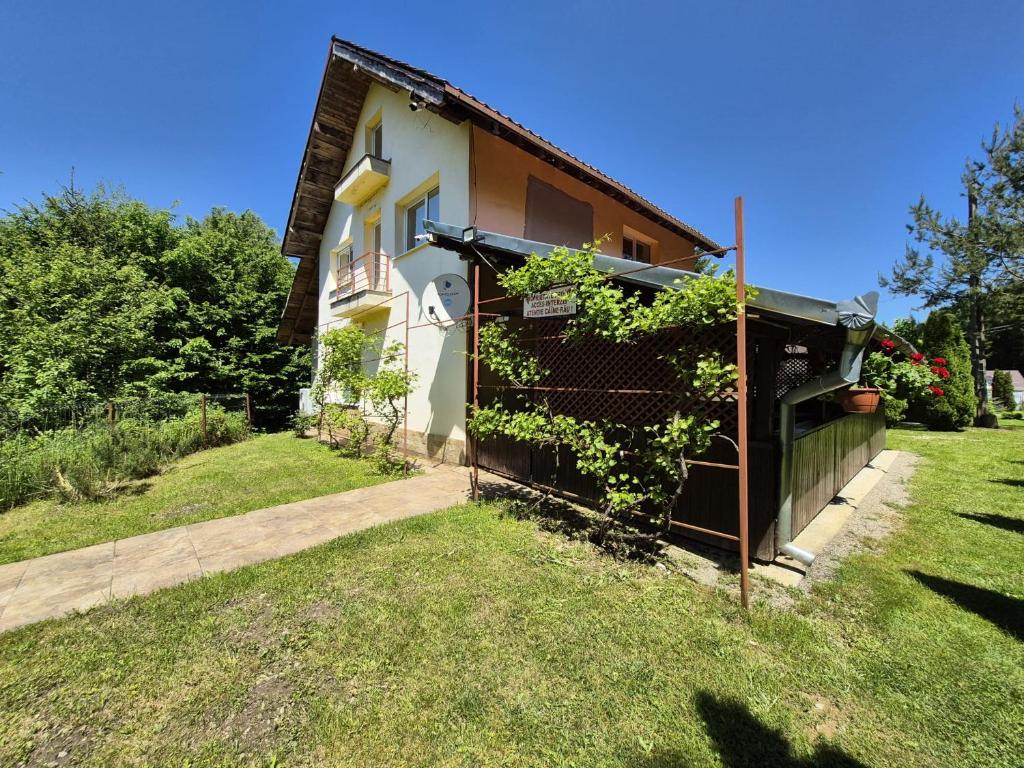 a house with a fence next to a yard at Casa Alina in Arpaşu de Sus