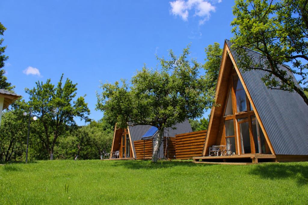 ein Haus mit einem Metalldach auf einer grünen Wiese in der Unterkunft Silent A-FRAME in Brăteşti