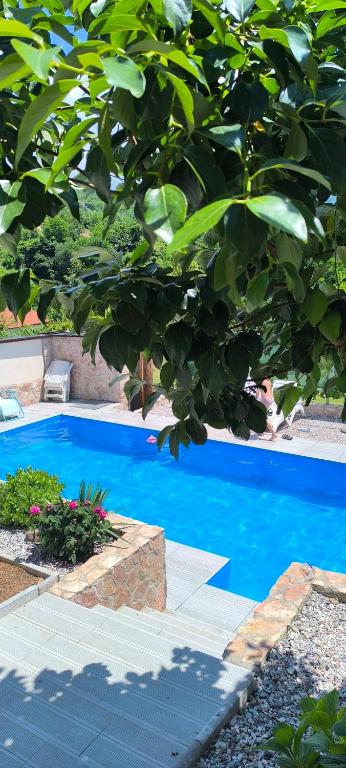 a blue swimming pool in a yard with a tree at Vila Đul in Konjic